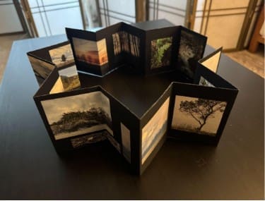 Northwest Creative & Expressive Arts Institute